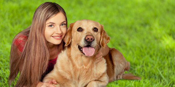 Human’s Best Friend?