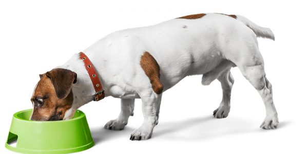 The Benefits Of Doing It Yourself