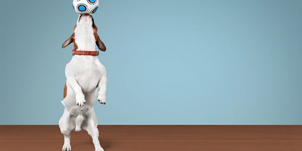 You Reap What You Sow